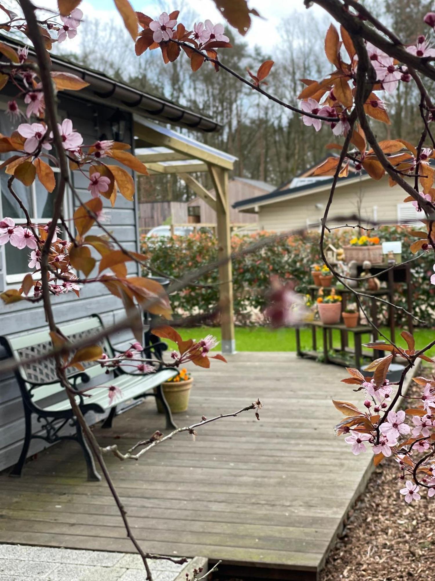 Chalet Sint-Hubertus Du Bois Zutendaal Kültér fotó
