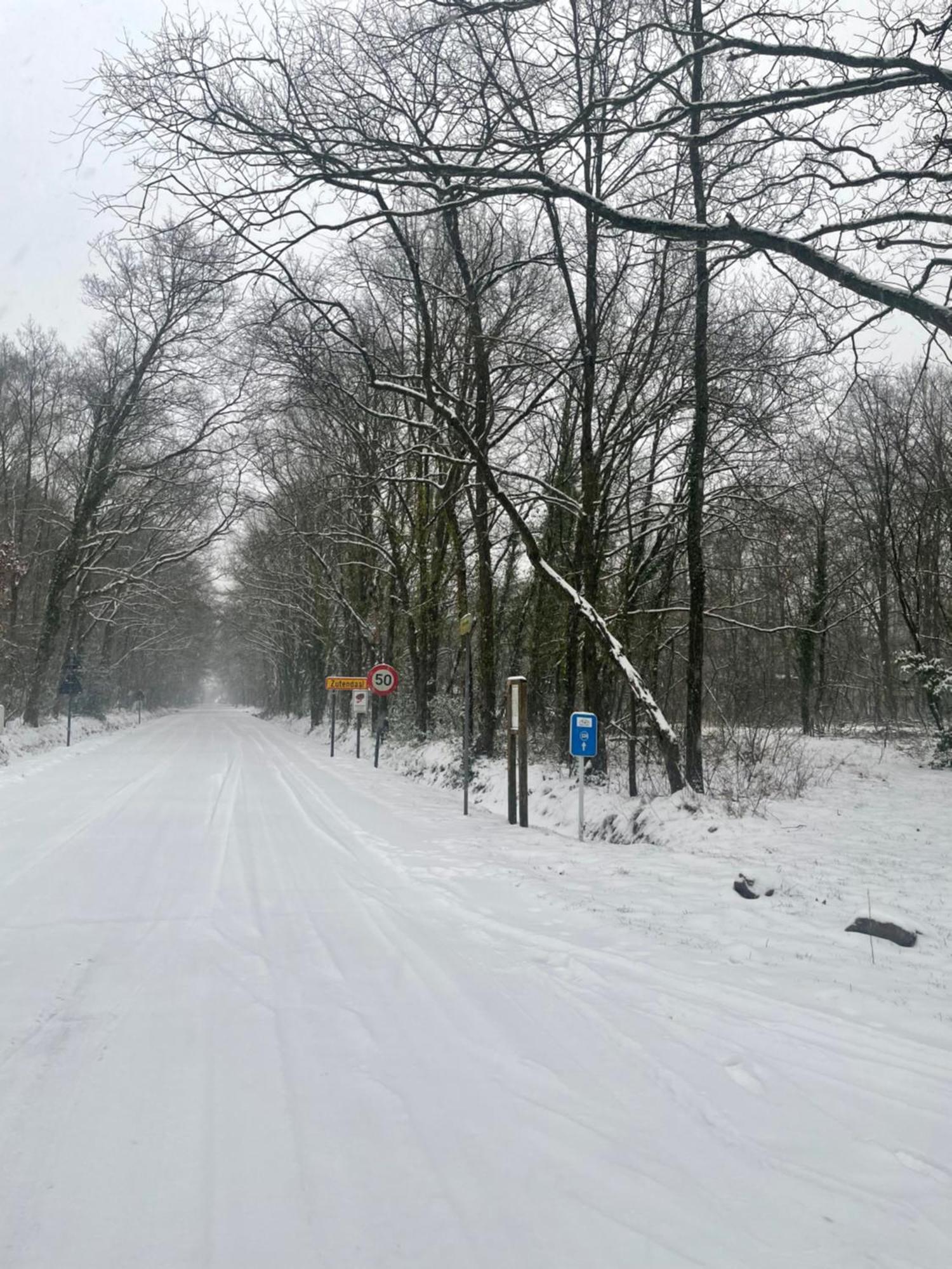 Chalet Sint-Hubertus Du Bois Zutendaal Kültér fotó