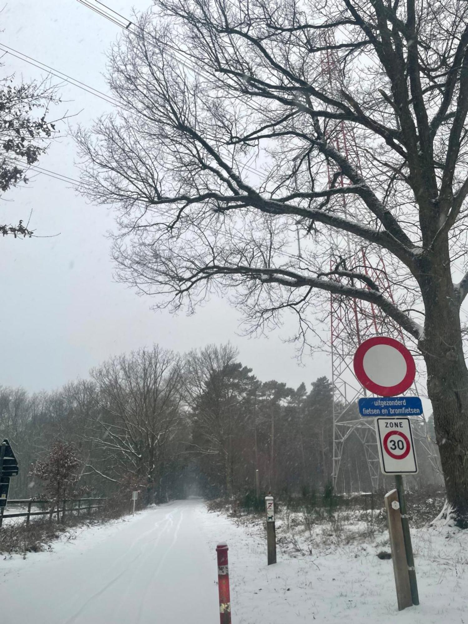 Chalet Sint-Hubertus Du Bois Zutendaal Kültér fotó