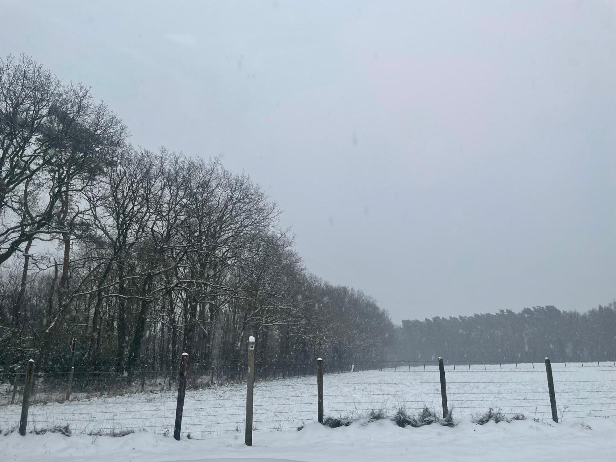 Chalet Sint-Hubertus Du Bois Zutendaal Kültér fotó