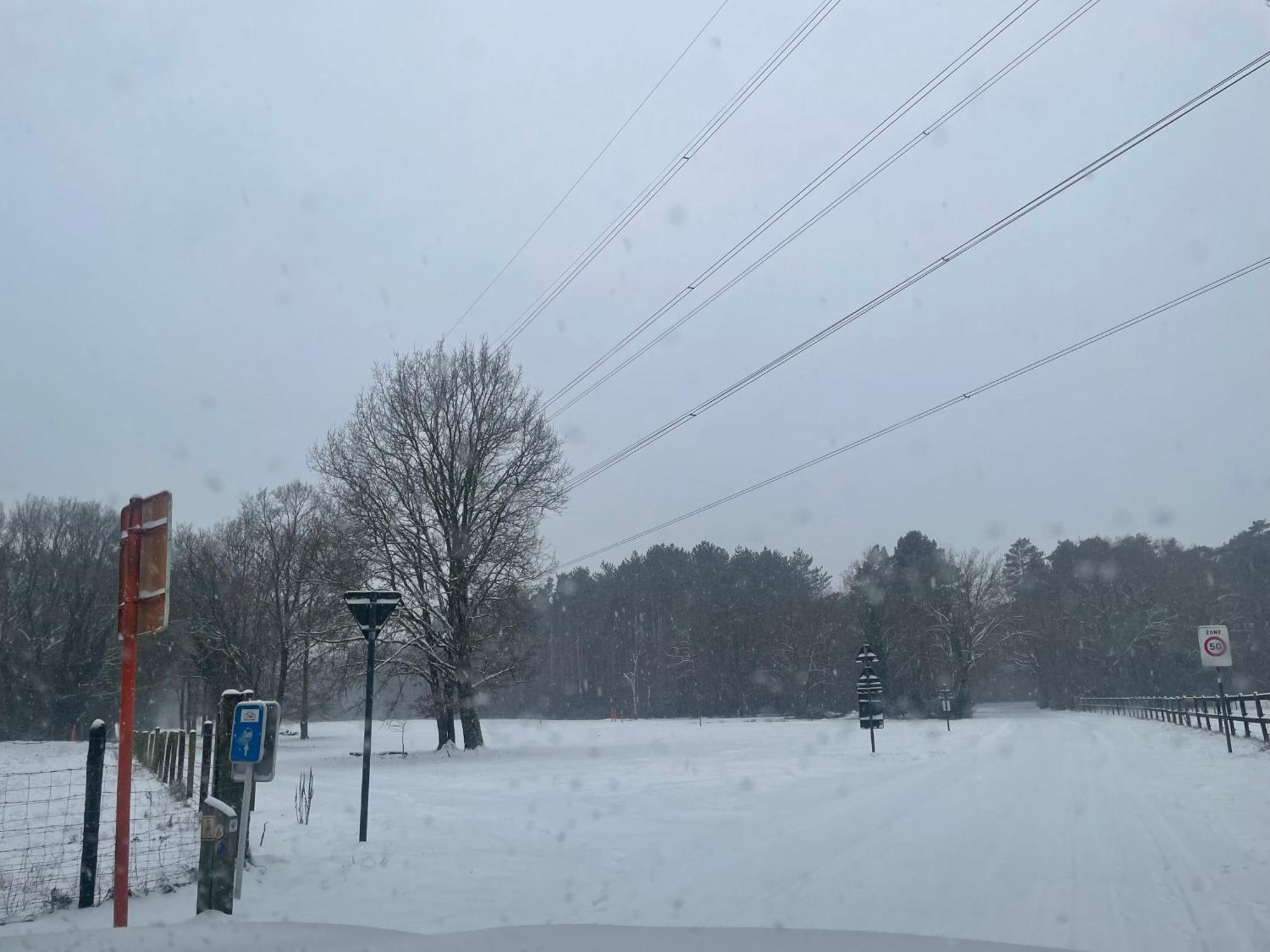 Chalet Sint-Hubertus Du Bois Zutendaal Kültér fotó