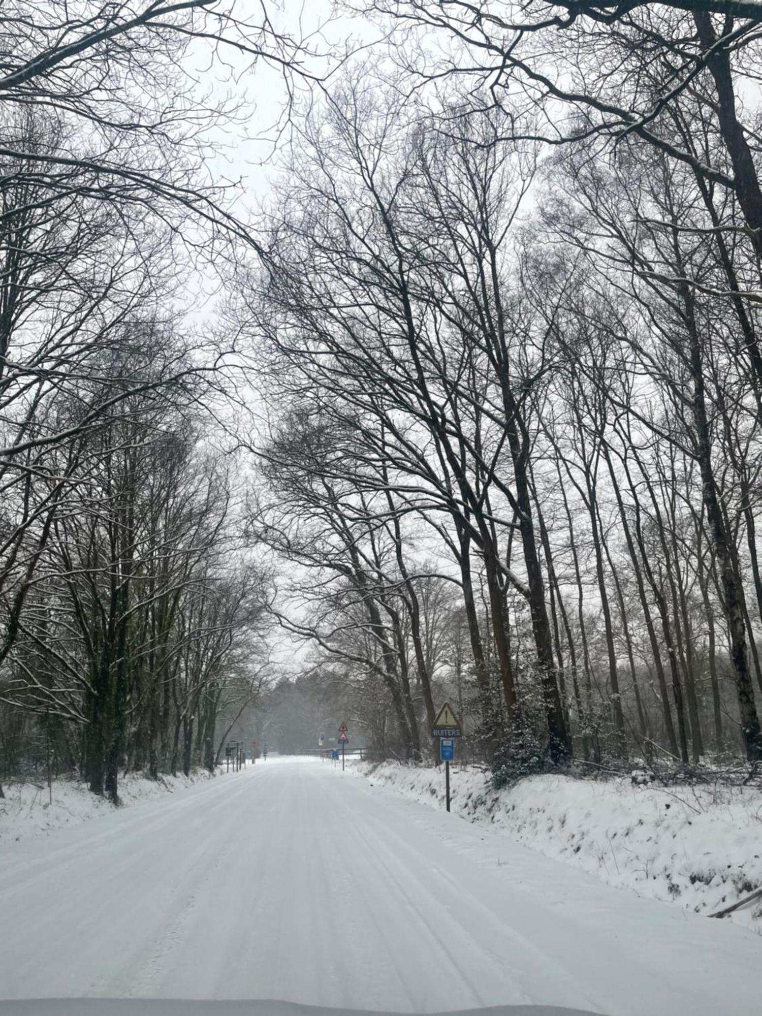 Chalet Sint-Hubertus Du Bois Zutendaal Kültér fotó