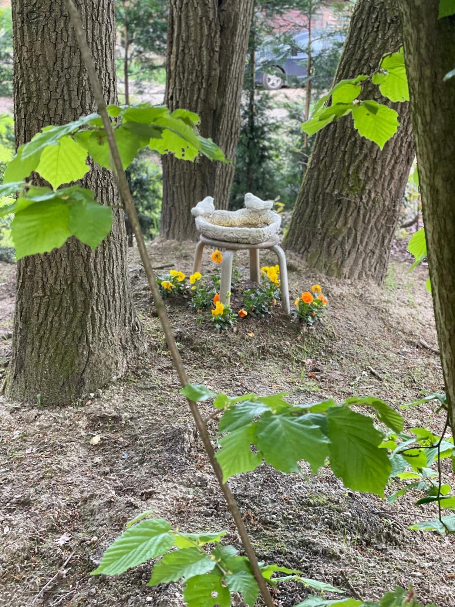 Chalet Sint-Hubertus Du Bois Zutendaal Kültér fotó